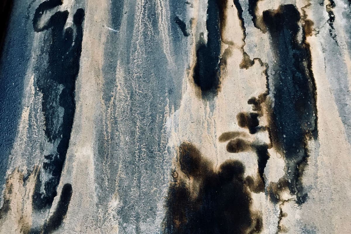 Dark mildew staining on a damp surface