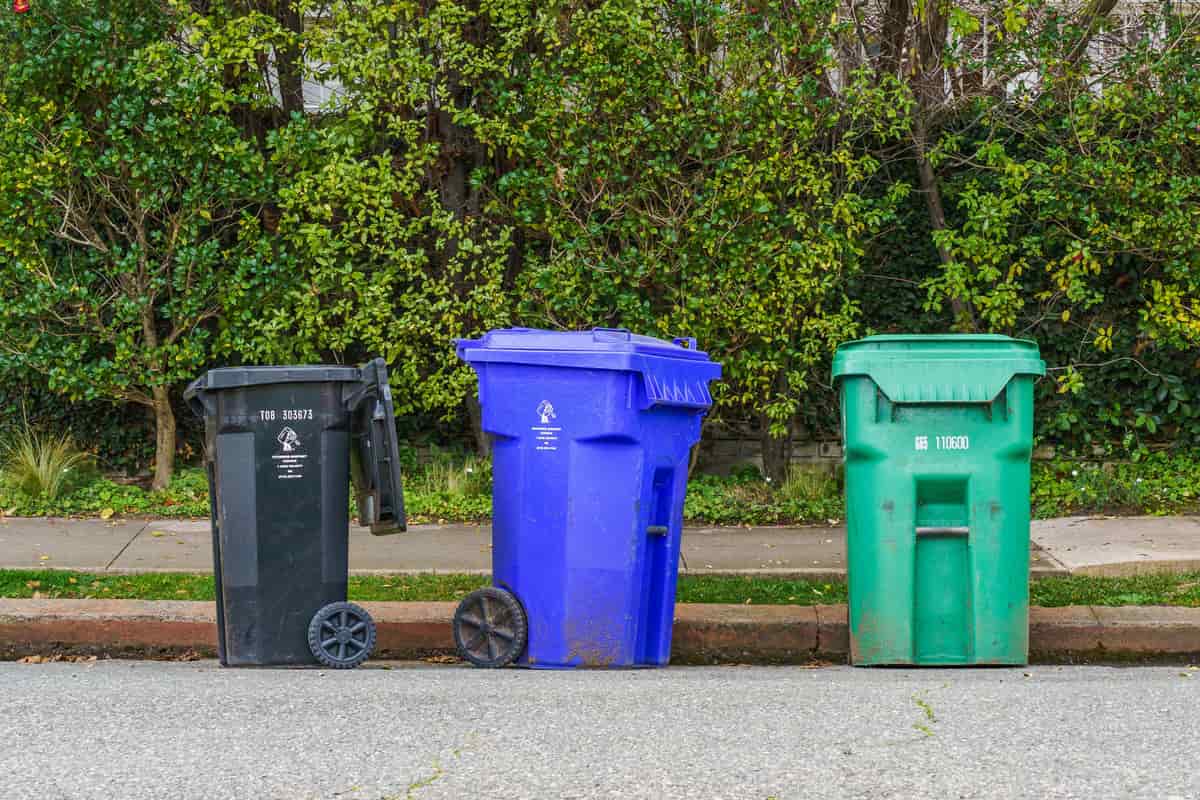Trash cans standing at a residential curb