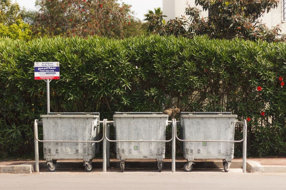 Wheeled garbage bins lined up along a street