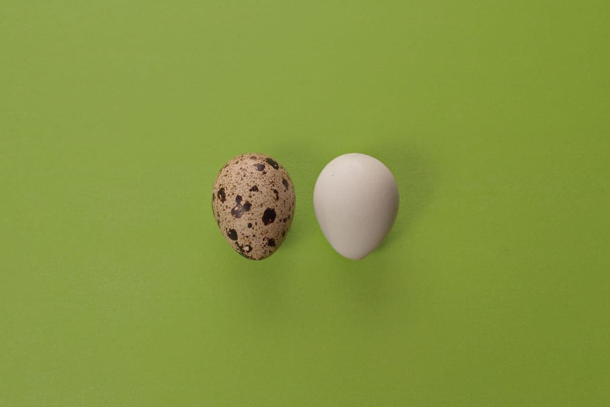 Two kitchen products shown side by side for comparison