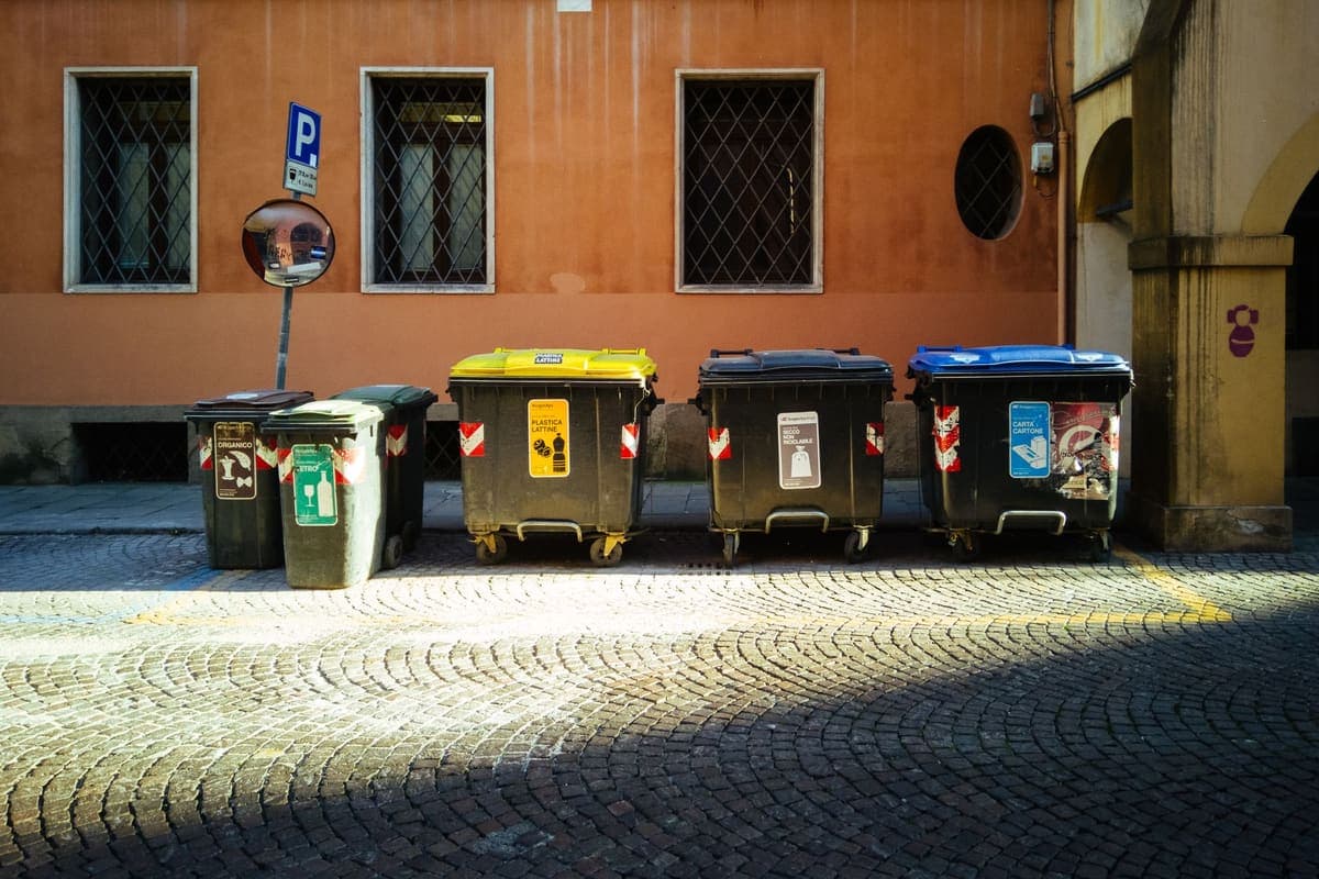 Wheeled garbage bins lined up along a street